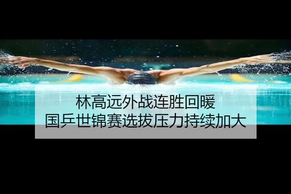 林高远外战连胜回暖 国乒世锦赛选拔压力持续加大